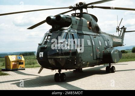 Vue avant gauche d'un hélicoptère Puma du Bundesgrenzschutz (patrouille frontalière) de l'Allemagne de l'Ouest stationné sur une ligne de vol. Base: Pays Fuldatal: République fédérale d'Allemagne (FRG) Banque D'Images