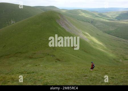 Homme descendant vers la selle de 'Yarlside' à 'Kenssgriff' dans les collines de Howgill près de Sedbergh dans le parc national de Yorkshire Dales, Angleterre, Royaume-Uni. Banque D'Images