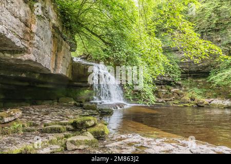 La chute d'eau de la force de chaudron sur Walden Beck à West Burton, Wensleydale, Yorkshire Dales au printemps. Banque D'Images