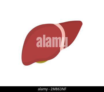 Une anatomie du foie humain, un logo d'organe. Hépatologie et gastro-entérologie. Prévention des maladies du foie. Anatomie de la vésicule biliaire. Médecine et santé. Illustration de Vecteur