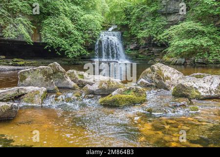 La chute d'eau de la force de chaudron sur Walden Beck à West Burton, Wensleydale, Yorkshire Dales au printemps. Banque D'Images