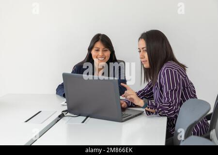 Deux collègues de travail discutent tout en examinant un projet sur leur ordinateur portable. Femmes latines travaillant au bureau. Banque D'Images