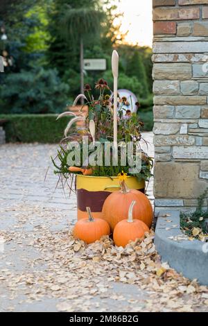 Trois citrouilles mûres contre le mur, décoration dans le parc. Banque D'Images