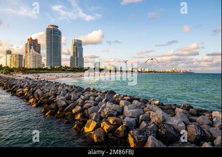 South Beach, Miami Beach. Floride. Le paradis. South Pointe Park et Pier Banque D'Images