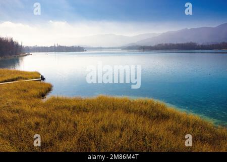 Les brumes d'hiver viennent de se lever dans le lac Banyoles et le soleil réchauffe le lac dans les champs de canne. Catalogne, Espagne Banque D'Images