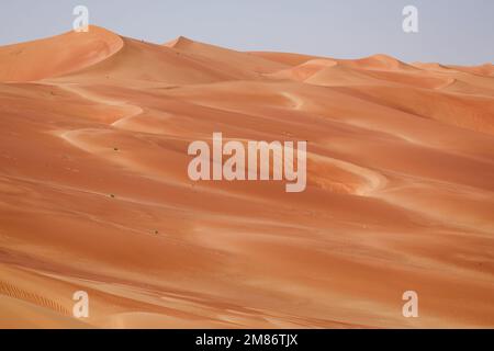 Arabie Saoudite - 12/01/2023, les dunes pendant la phase 11 du Dakar 2023 entre Shabyah et le Marathon du quartier vide, sur 12 janvier 2023 dans le Marathon du quartier vide, Arabie Saoudite - photo: Florent Gooden/DPPI/LiveMedia Banque D'Images