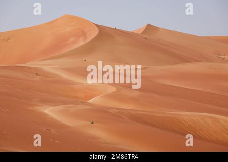 Arabie Saoudite - 12/01/2023, les dunes pendant la phase 11 du Dakar 2023 entre Shabyah et le Marathon du quartier vide, sur 12 janvier 2023 dans le Marathon du quartier vide, Arabie Saoudite - photo: Florent Gooden/DPPI/LiveMedia Banque D'Images