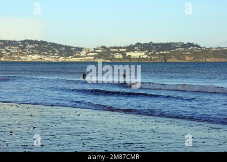 Deux jeunes femmes en combinaisons mouillées surfant sur de petites vagues près de la rive à Paignton, prises le 2023 janvier. Hiver Banque D'Images