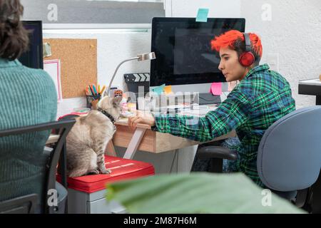 Une jeune femme Latina aux cheveux courts travaille à la maison tout en peetting son chat assis sur son bureau. Banque D'Images