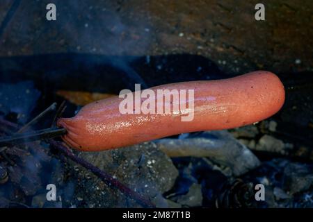 Les saucisses sont frites sur des brochettes sur des plats à base de charbon sur le gril. Préparer la nourriture pour un pique-nique. Banque D'Images