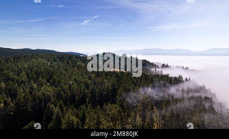 Images aériennes lever de soleil au-dessus des nuages, banc de brouillard, mer de nuages, belle sérénité, lever de soleil paisible le matin. Banque D'Images