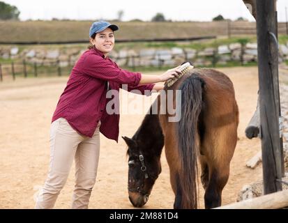 Femme prenant soin des chevaux Banque D'Images