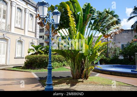 Ciel bleu, palmiers et lampadaire à fort de France, Ile de la Martinique. Fort de France est la capitale de l'île de la Martinique, les Petites Antilles. Banque D'Images