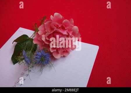 Rose rose et nigella sativa fleurs et blanc ouvert cahier blanc sur fond magenta Banque D'Images