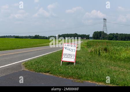 Un panneau fait à la main faisant de la publicité sur les produits agricoles sur le côté d'une route de pays. Banque D'Images