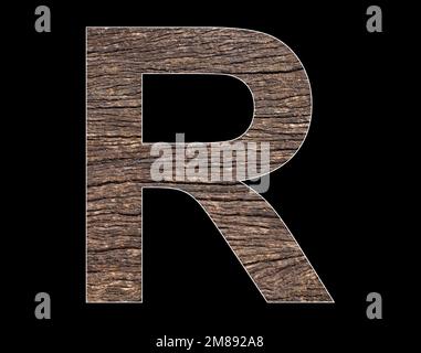Lettre R majuscule de l'alphabet - texture rustique du cortex de l'arbre Banque D'Images