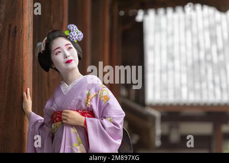 Une Geisha et maiko tirer sur Manpakuji, Kyoto Temple Banque D'Images