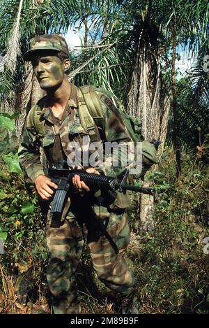Un membre de la 82nd Airborne Division, armé d'un fusil M16A2, patrouille sur le terrain lors d'une mobilisation de la force opérationnelle américaine Dragon/Golden Pheasant. Le groupe de travail, composé à la fois de la Division aéroportée de 82nd et de la Division d'infanterie légère de 7th, a été déployé par le Président Ronald Reagan pour aider à décourager les forces nicaraguayennes d'entrer au Honduras. Objet opération/série: BASE FAISAN DRAGON/GOLDEN: Judicalpa pays: Honduras (HND) Banque D'Images