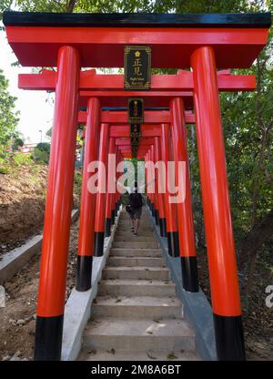 Province de Lampang, Thaïlande. 22 novembre 2022.Japan escalier dans le jardin du Grand Bouddha de la statue de Daibutsu Kamakura. Banque D'Images