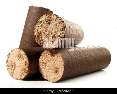 Briquettes rondes en bois dur Sawdust - billes de feu de bois à biomasse comprimée isolées sur fond blanc Banque D'Images
