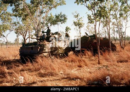 Deux véhicules blindés M-113A1 de l'armée australienne sont stationnés dans une zone boisée lors de l'exercice conjoint entre l'Australie et les États-Unis Kangaroo '89. Le M-113 à gauche est un véhicule d'aide au feu équipé d'une tourelle et armé d'un canon 76mm ; le M-113 à droite est un véhicule de base de reconnaissance de personnel blindé/léger. Objet opération/série : KANGAROO '89 État : territoire du Nord pays : Australie (AUS) Banque D'Images