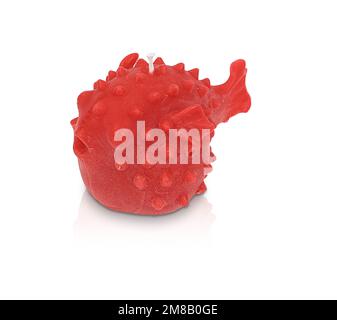 Bougie colorée isolée de formes diverses. Bougie parfumée. Bougie avec verre. Oeufs, mer, coeur, fleur, poisson, starfish, seashell, corail, ange, pomme. Banque D'Images