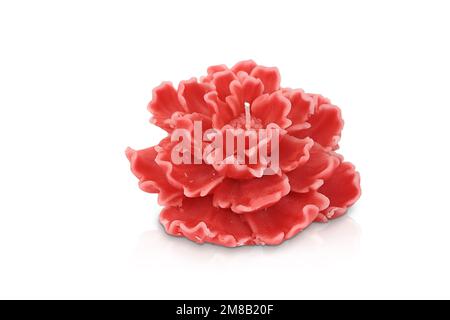 Bougie colorée isolée de formes diverses. Bougie parfumée. Bougie avec verre. Oeufs, mer, coeur, fleur, poisson, starfish, seashell, corail, ange, pomme. Banque D'Images