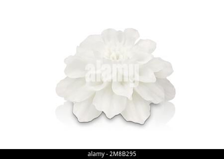 Bougie colorée isolée de formes diverses. Bougie parfumée. Bougie avec verre. Oeufs, mer, coeur, fleur, poisson, starfish, seashell, corail, ange, pomme. Banque D'Images