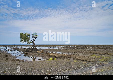 Beachsite, près de l'ancien village de pêcheurs à Pemuteran le nord de l'île de Bali. Il y avait un temple hindou situé à la plage. Banque D'Images
