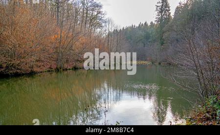 Étang dans la forêt des Ardennes, Belgique Banque D'Images