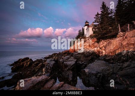 Bass Harbour Head Phare Parc national Acadia Maine États-Unis Banque D'Images