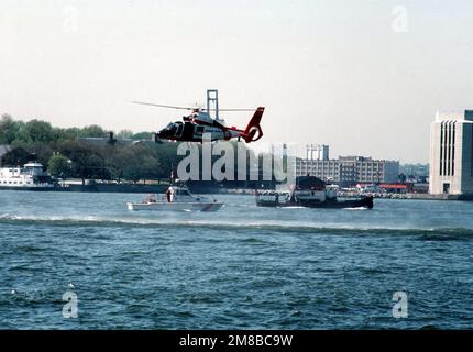 Un nageur de secours se prépare à sauter d'un hélicoptère Dolphin HH-65A de la Garde côtière, qui participe avec un petit vaisseau de la Garde côtière à une démonstration de recherche et sauvetage pendant la semaine de la flotte. Base : New York Harbour État : New York (NY) pays : États-Unis d'Amérique (USA) Banque D'Images