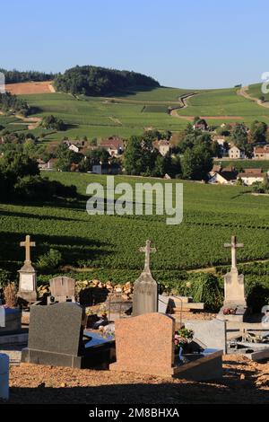 Cimetière dans les vignobles. Mercurey. Bourgogne. Saône-et-Loire. France. Europe. Banque D'Images