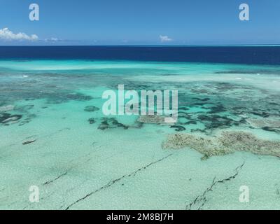 Zanzibar (Muyuni Beach sur la plus grande île de l'archipel de Zanzibar, Unguja, vue aérienne) Banque D'Images