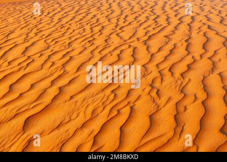 Motifs naturels et ondulations dans le sable, désert de Wahiba, Sables de Sharqiya, Oman Banque D'Images