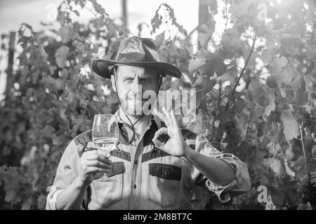 sommelier. fermier boit du vin. santé. vinedresser boit. homme propriétaire de vignoble. Banque D'Images