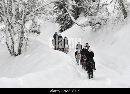 (230113) -- ALTAY, 13 janv. 2023 (Xinhua) -- les touristes voyagent à cheval dans la préfecture d'Altay, dans la région autonome de Xinjiang, dans le nord-ouest de la Chine, 7 janv. 2023. La préfecture d'Altay est connue pour sa longue saison d'hiver qui peut durer jusqu'à huit mois par an. Il attire les skieurs du monde entier avec sa vaste zone de neige naturelle. La région a souhaité stimuler le tourisme d'hiver au cours des dernières années, attirant les visiteurs avec le ski, la pêche sur glace et d'autres activités d'hiver. Il a accueilli quelque 1,02 millions de touristes entre le 2022 décembre et le 11 janvier 2023. (Xinhua/Hu Huhu) Banque D'Images