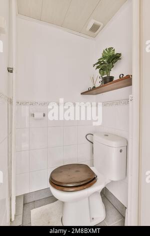 une petite salle de bains avec des toilettes et une plante sur le mur au-dessus des toilettes est une porte ouverte qui mène à une autre chambre Banque D'Images