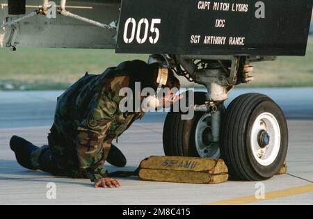 Un membre de l'unité de maintenance de l'aéronef 42nd vérifie le train de nez d'un avion F-111E du Fighter Squadron 55th pendant les États-Unis Forces aériennes en Europe (USAFE) exercice Afficher détermination '89. Objet opération/série: AFFICHER LA DÉTERMINATION '89 base: Aviano Air base État: Pordenone pays: Italie (ITA) Banque D'Images