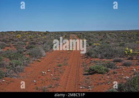 Chaussée qui serpente à travers les fleurs printanières de Namaqualand, parc national de Namaqua. Afrique du Sud Banque D'Images