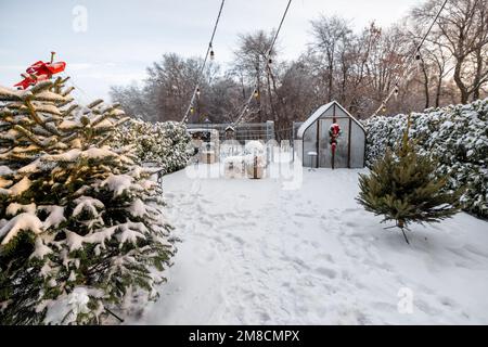 Jardin enneigé avec serre et arbre de Noël Banque D'Images