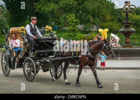 Par une chaude journée ensoleillée à New York, l'une des calèches attire les passagers pour une promenade autour de Central Park, situé entre l'Upper West Banque D'Images