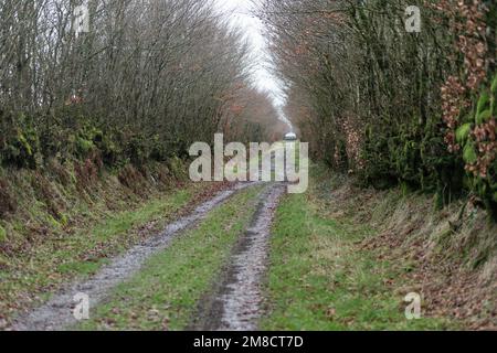 Green Lane, parc national d'Exmoor, Royaume-Uni Banque D'Images