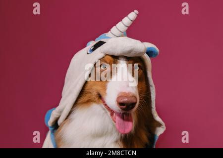 Le berger australien brun porte un costume blanc bleu licorne et sourit assis sur fond rose. Chien drôle et créatif en pyjama kigurumi. Concept Banque D'Images