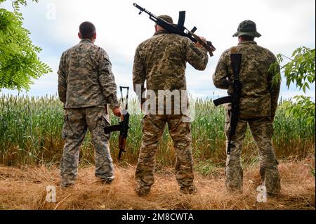 Trois soldats ukrainiens se tiennent avec des fusils automatiques dans leurs mains, regardant un champ de blé, des champs de blé et la guerre en Ukraine. Banque D'Images