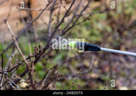 Pulvérisation d'arbres fruitiers à l'aide d'un pulvérisateur à pompe avec des insecticides et des fongicides au printemps Banque D'Images