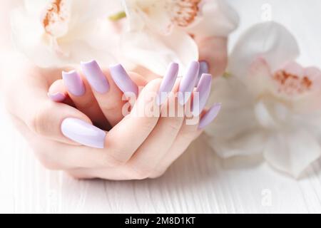 Mains de fille avec manucure pourpre délicate et fleurs d'orchidées. Le concept de beauté et de soins du corps. Banque D'Images