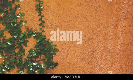 Vigne verte, liana, fougère ou plante grimpante sur le côté gauche de la photo. Croissance des plantes sur le mur de plâtre léger. Magnifique papier peint. Banque D'Images