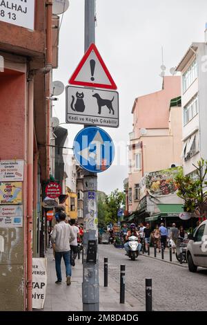 Avertissement de circulation des chats et des chiens errant dans la rue - Istanbul, Turquie Banque D'Images