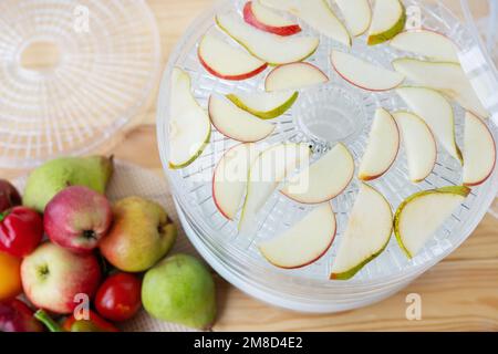 Sèche-linge électrique pour déshydrater des produits avec chargement horizontal de palettes. Pommes et poires sur palettes. Vue de dessus, gros plan, lumière naturelle Banque D'Images